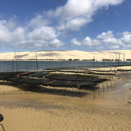 Ville Les Flots Bleus Proche Golf Arcachon لا تاسْتْ دو بوك المظهر الخارجي الصورة