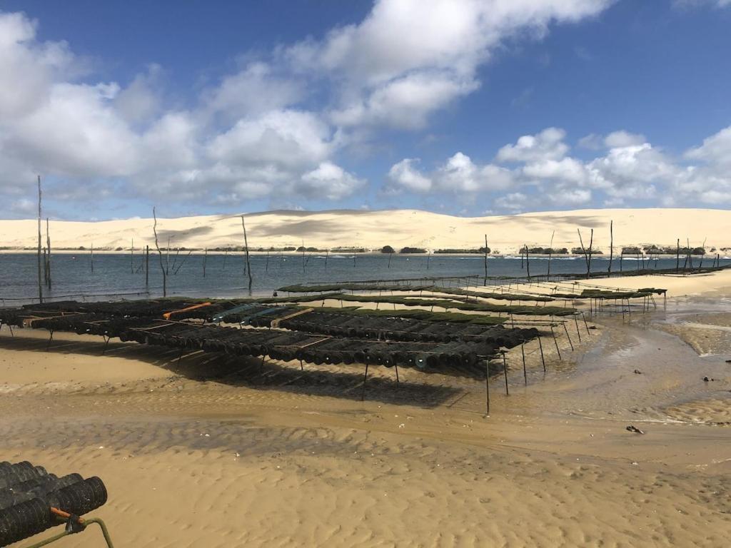 Ville Les Flots Bleus Proche Golf Arcachon لا تاسْتْ دو بوك المظهر الخارجي الصورة