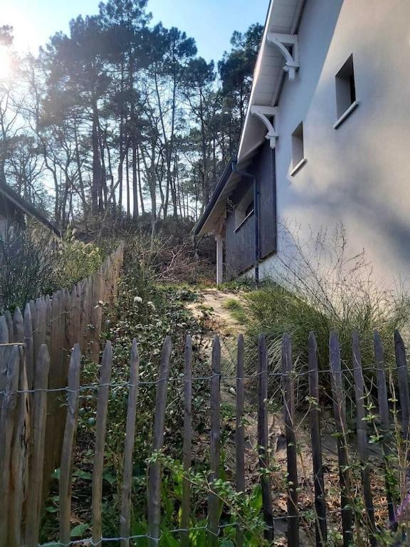 Ville Les Flots Bleus Proche Golf Arcachon لا تاسْتْ دو بوك المظهر الخارجي الصورة