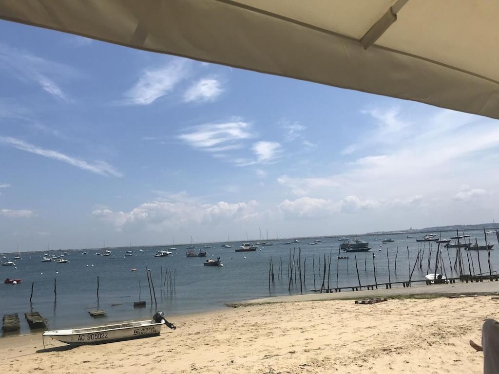 Ville Les Flots Bleus Proche Golf Arcachon لا تاسْتْ دو بوك المظهر الخارجي الصورة