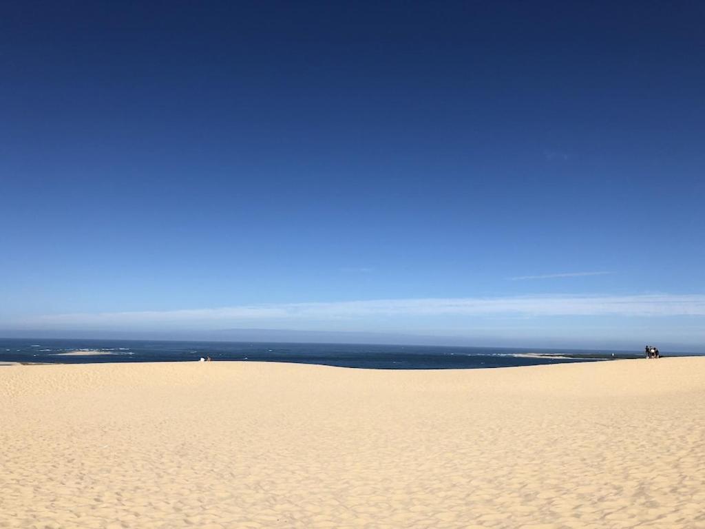 Ville Les Flots Bleus Proche Golf Arcachon لا تاسْتْ دو بوك المظهر الخارجي الصورة